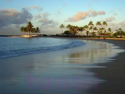 하와이-해변-나무사진
